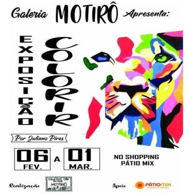 Exposi&ccedil;&atilde;o Colorir