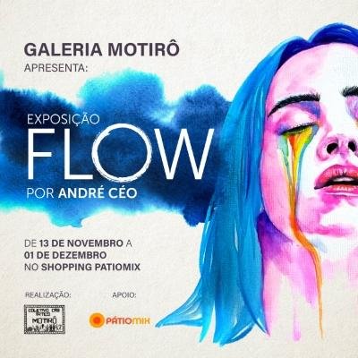 Exposi&ccedil;&atilde;o Flow