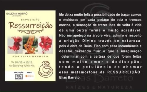 Ressurreição (4)
